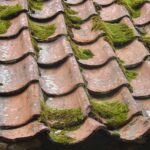 Common Reasons Roofs Do not Last as Long as They Should