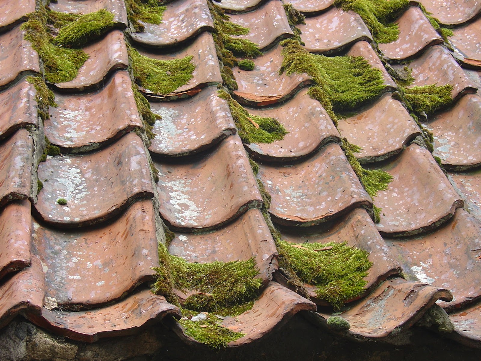 Common Reasons Roofs Do not Last as Long as They Should