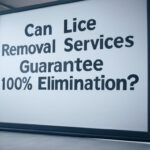 Can Lice Removal Services Guarantee 100% Elimination?