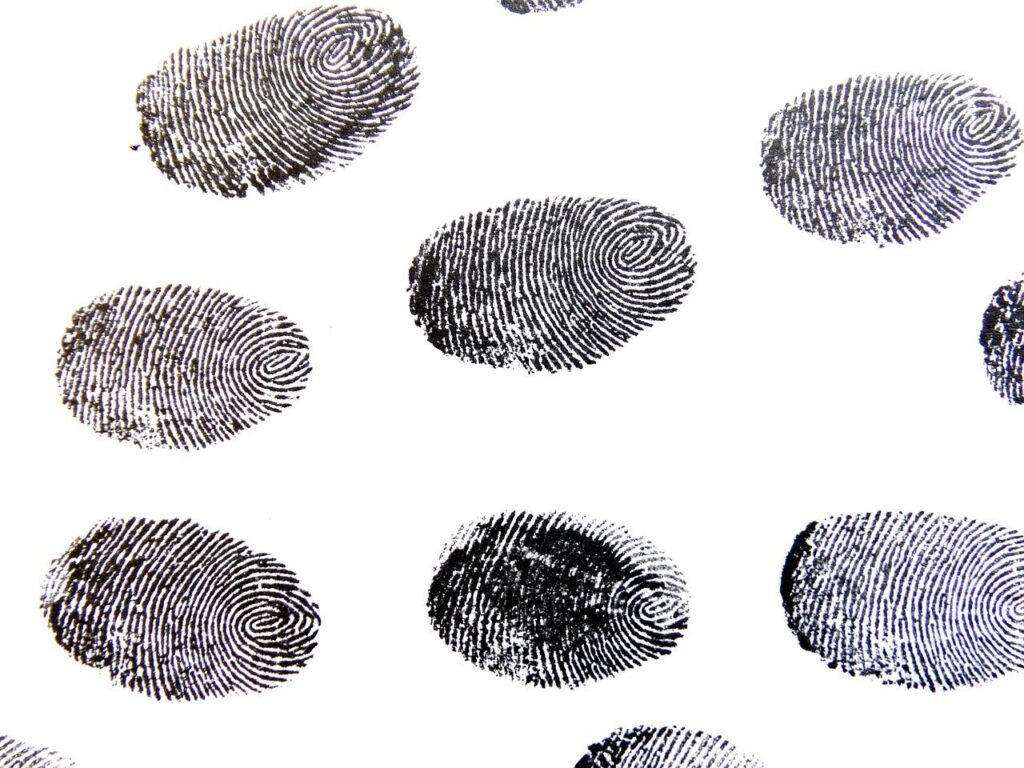 Hiring a Private Investigator