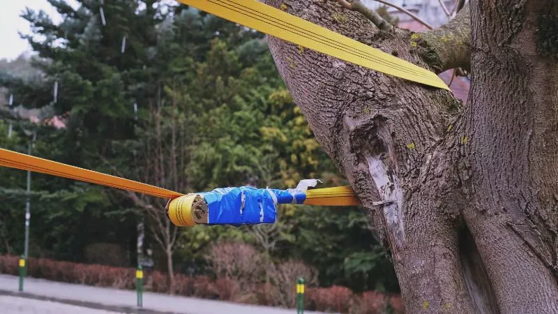 How to Properly Store Logistic Straps to Maximize Their Lifespan