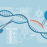 CRISPR Gene Editing & Screening: Advancing Research and Medicine