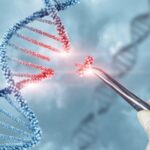 Gene Therapy Clinical Development