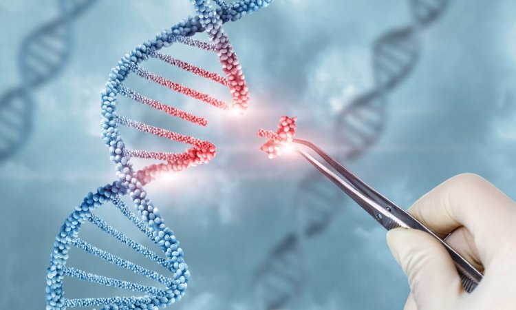 Gene Therapy Clinical Development