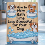 How to Make Bath Time Less Stressful for Your Dog