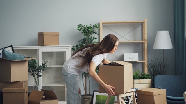 Moving for Work
