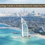 Why Flamingo Travels is the Best Choice for Dubai Tour Packages