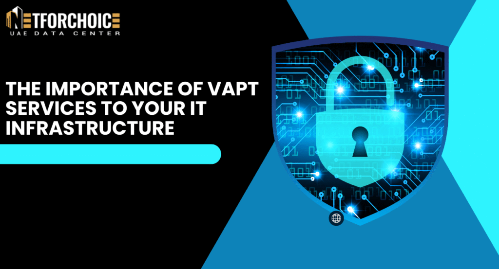 VAPT services