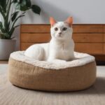 What to Look for in a Wholesale Pet Bed Manufacturer
