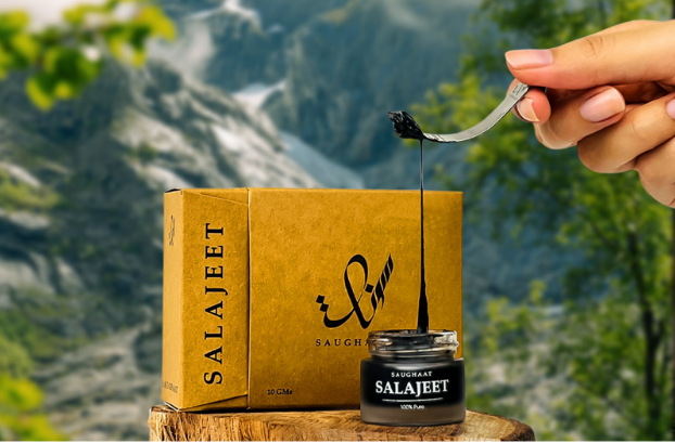 Discover the Health Benefits of Best Salajeet In Pakistan