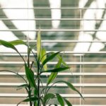 How the Right Blinds Can Improve Your Space