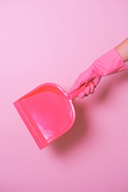 Why Professional Cleaning Services are Essential for Businesses