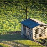 What to Know About Aging Structures