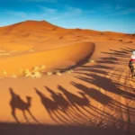Discover the Best of Dubai: VIP Desert Safari with Exclusive Experiences