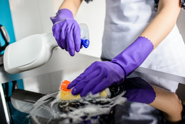 Domestic Helper