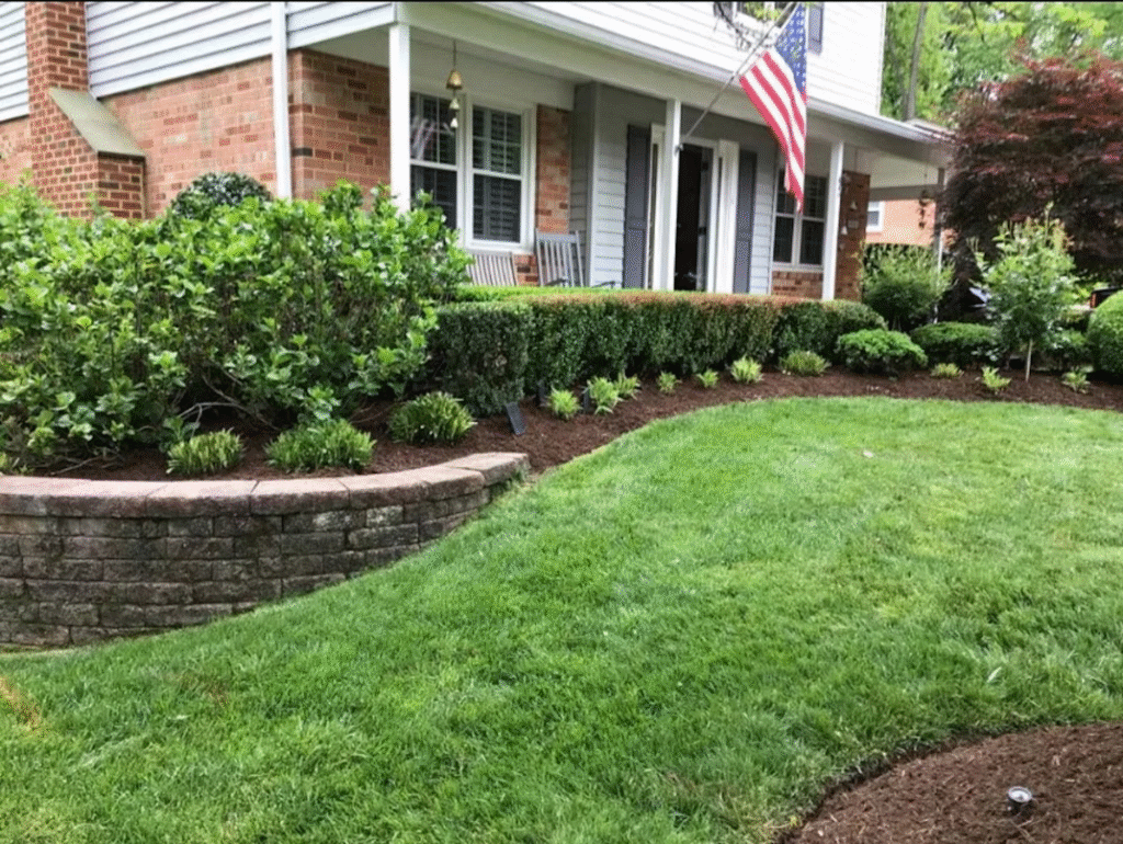 How Regular Lawn Services Improve Curb Appeal Year-Round