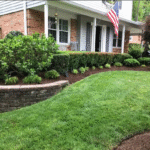 How Regular Lawn Services Improve Curb Appeal Year-Round