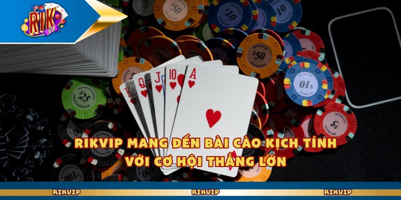 Rikvip