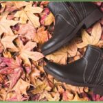 Find The Right Footwear Apparatus to a Better Shoe Encounter