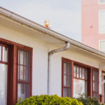 Transform Your Home’s First Impression with These Smart Exterior Choices