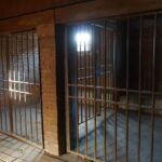 Navigating the Court System