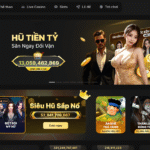 Saobet is the leading online betting house today.