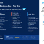 SAP B1 Add-ons