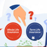 Term Life