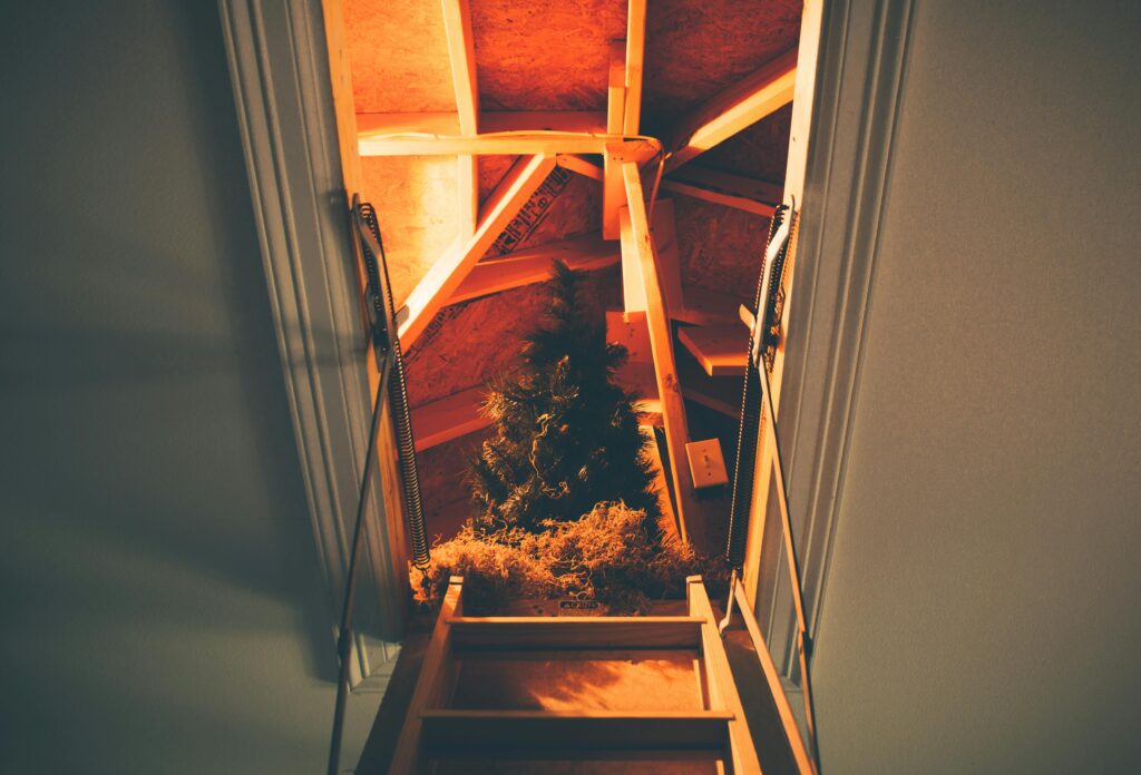 The Benefits of a Professional Attic Clean Up and Decontamination Services in LA