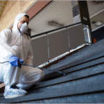Termite Control Near Me