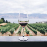 Private Charters: A Fun & Flexible Way to Explore Margaret River