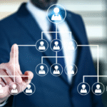 What Business Structures Are Available for the BVI Offshore Company Formation?