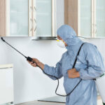 Pest Control Services