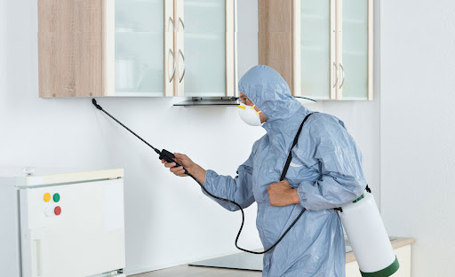 Pest Control Services