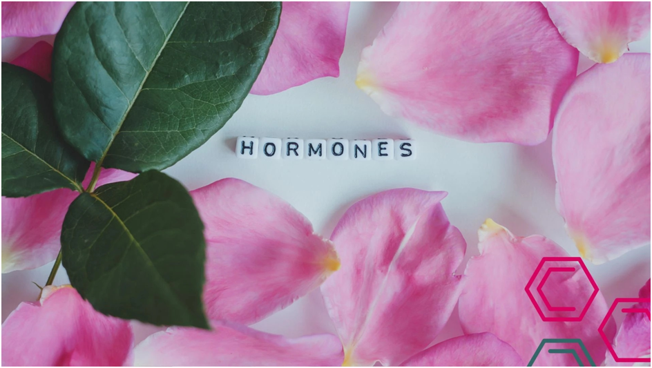 Female Sex Hormones