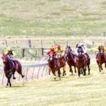 Triple Threats: The Signature Races That Define Woodbine’s Seasons