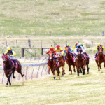 Woodbine’s Seasons