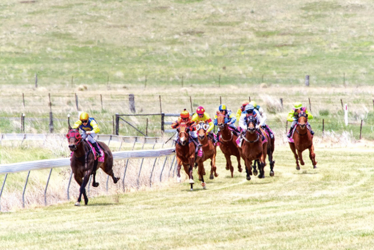 Woodbine’s Seasons