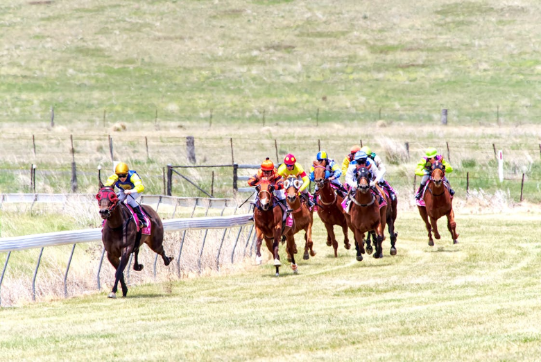 Woodbine’s Seasons