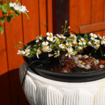 The Magic of Flowing Water: Why Gardens Feel More Relaxing