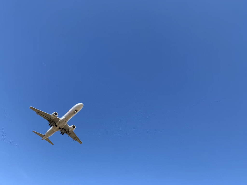 How to save money on flight tickets—skip myths, lock real deals