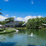 Solar Energy and Pool Heating for Hope Island Homes