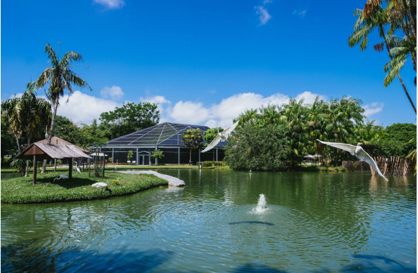 Solar Energy and Pool Heating for Hope Island Homes