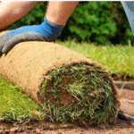 How to Prepare Your Soil Before Laying a Roll Out Lawn