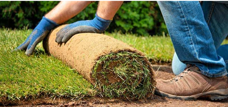 How to Prepare Your Soil Before Laying a Roll Out Lawn