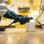 DIY Pest Inspection vs. Professional Services in Adelaide