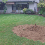 How to Prepare Your Yard for Stump Grinding