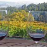 How to Spot Quality Wines During Your Adelaide Wine Tour