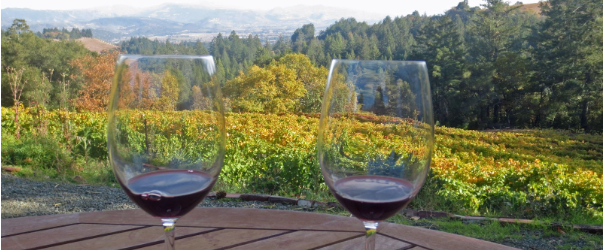 How to Spot Quality Wines During Your Adelaide Wine Tour