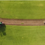 Why More Landscapers in Adelaide are Partnering with The Turf Farm